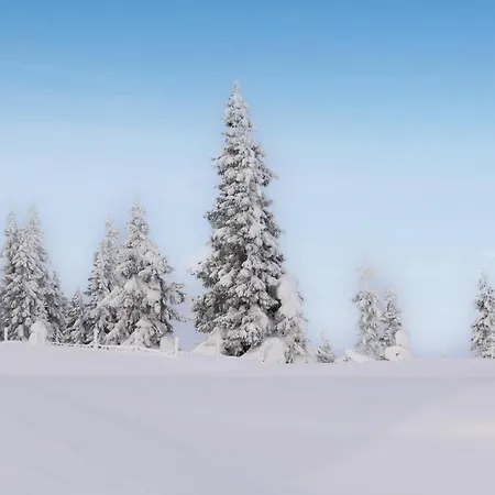 Stunning View In * Gol